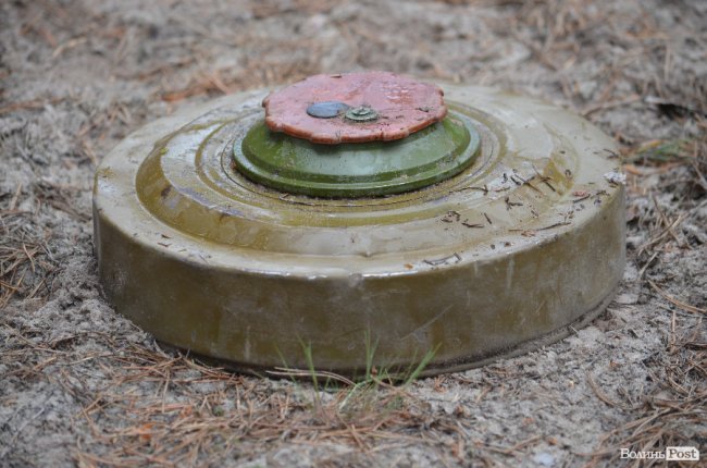 Війна у лісах Волині: підготовка загонів тероборони