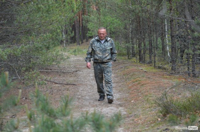 Війна у лісах Волині: підготовка загонів тероборони