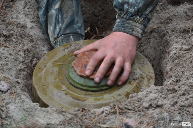 Війна у лісах Волині: підготовка загонів тероборони