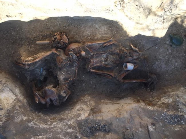 На Волині під час розкопок  знайшли рештки 33-ох солдатів. ФОТО