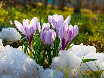 В Україну повертається потепління, – синоптик 