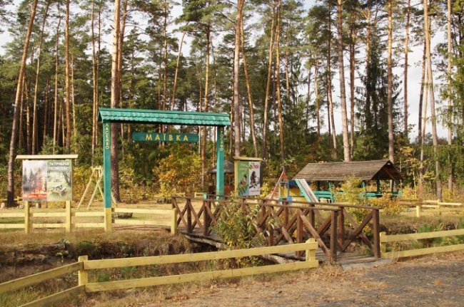 Атмосферні осінні світлини лісових рекреаційних зон на Волині. ФОТО