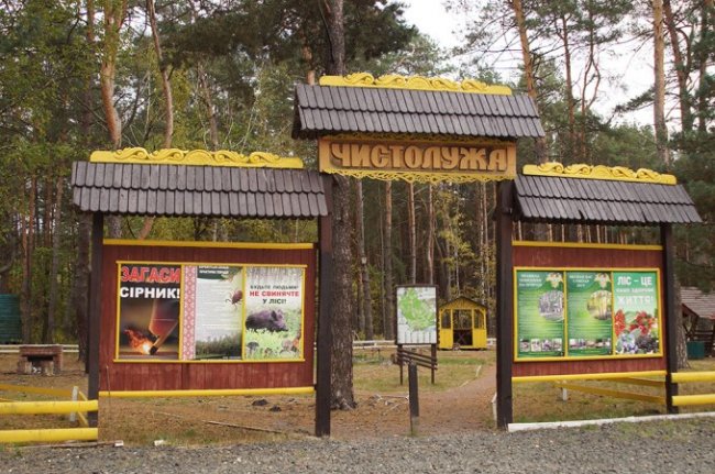 Атмосферні осінні світлини лісових рекреаційних зон на Волині. ФОТО