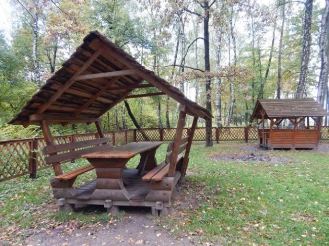 Атмосферні осінні світлини лісових рекреаційних зон на Волині. ФОТО