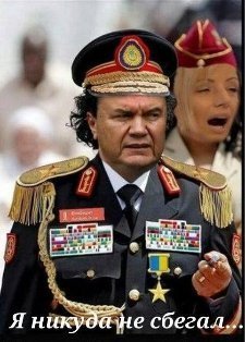 Інтернет глузує з Януковича в Ростові. ФОТО