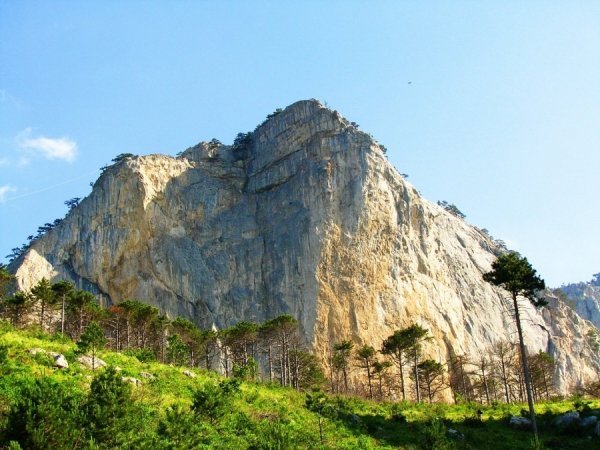 Скеля сокола