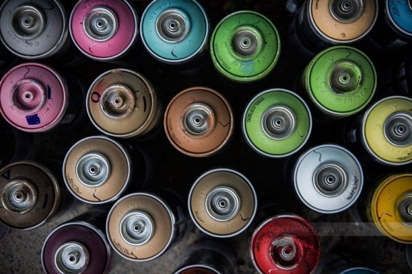 У самому центрі Луцька намалювали кота-пірата. ФОТО