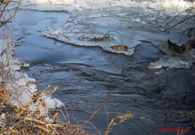 Опублікували фото закутого в кригу Стиру