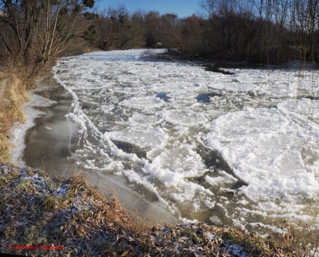 Опублікували фото закутого в кригу Стиру