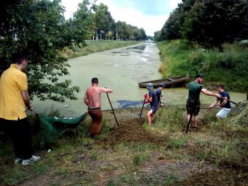 У луцькому парку від ряски чистять канали. ФОТО