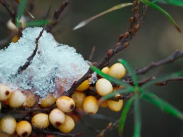 Погода у Луцьку на завтра, 23 лютого