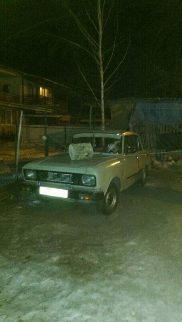 На Волині священик кинув колодою в собаку