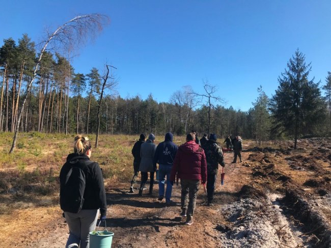 Користь для довкілля і «тімбілдингу»: фірма з Луцька у вихідний висадила гектар лісу. ФОТО