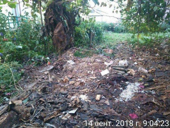 На вулиці в Луцьку демонтували сараї. ФОТО