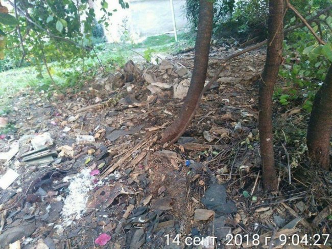 На вулиці в Луцьку демонтували сараї. ФОТО