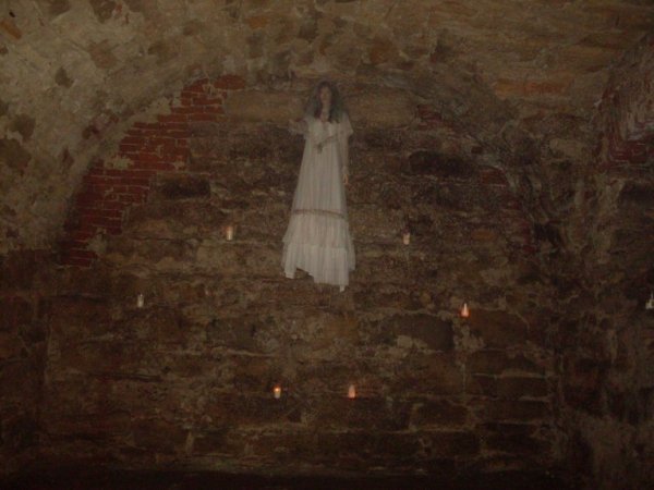 Наймістичніші замки Західної України. Моторошні історії кам'яних стін та загублених життів. ФОТО