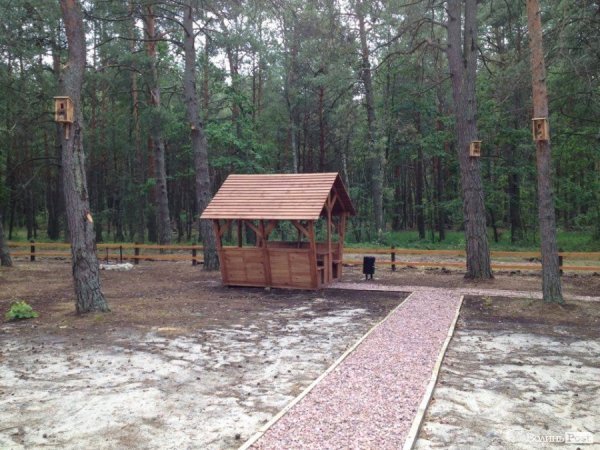 Рекреаційні пункти Волині - природа, затишок та економний відпочинок. ФОТО