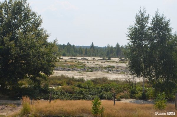Міністр екології на власні очі побачила незаконні копанки бурштиношукачів. ФОТО