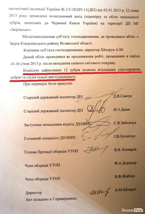 За рік у лісах Волині зникло більше половини зубрів. ДОКУМЕНТ  