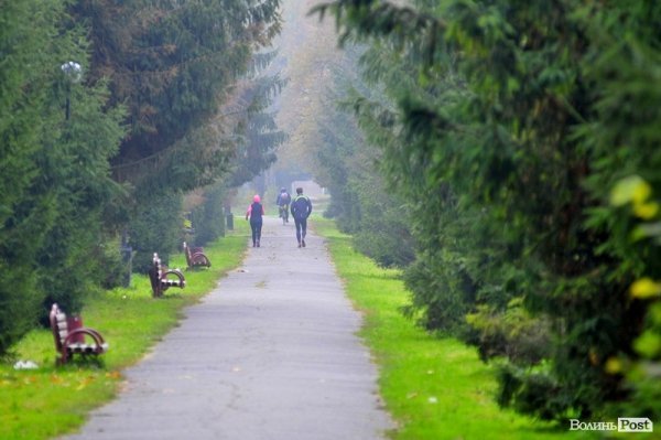 Луцьк. Ранок. Парк. Лучани. ФОТО
