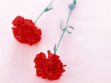 Священник з Луцька розповів, чому на похорон приносять парну кількість квітів