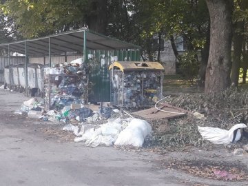 З луцького двору не вивозять сміття. ФОТО