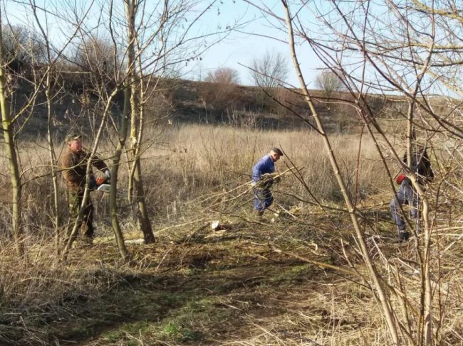 У селі Луцького району влаштували толоку, щоби посадити ліс