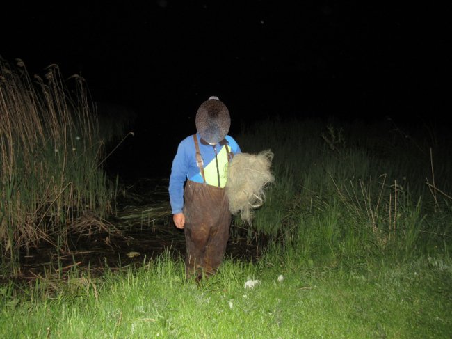 На Волині «на гарячому» спіймали браконьєрів, які з човна ловили рибу сітками. ФОТО