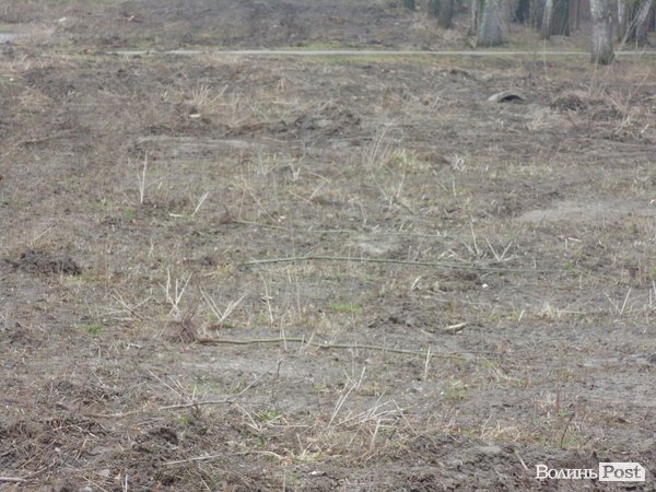 Як мер Луцька з студентами дерева садив. ФОТО