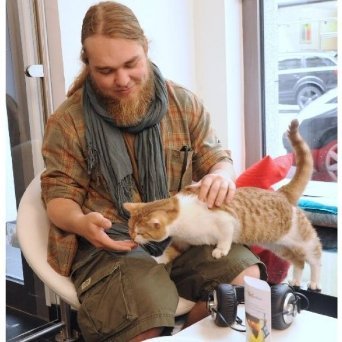 У Мюнхені зʼявилося кафе, де можна погратися з котами. ФОТО