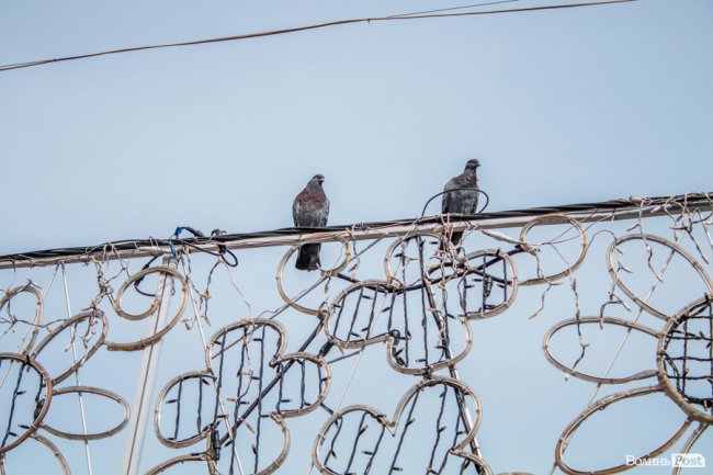 Бабине літо у Луцьку. ФОТО