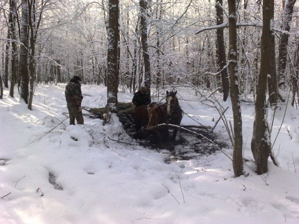 На Волині створили інспекцію для боротьби з браконьєрами і мажорами. ФОТО
