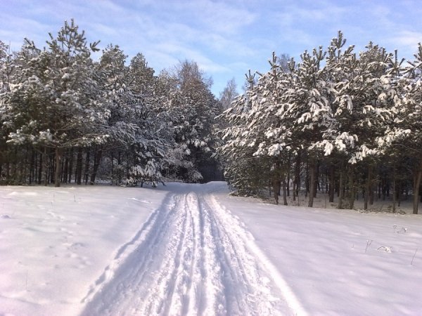 На Волині створили інспекцію для боротьби з браконьєрами і мажорами. ФОТО