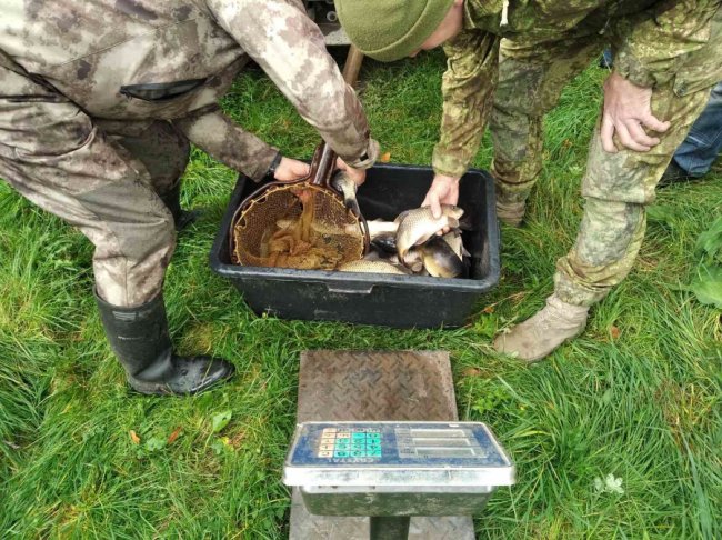 У волинське озеро випустили понад тонну риби. ФОТО