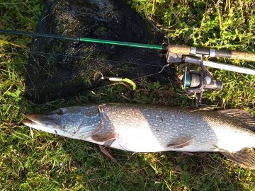 У Стиру чоловік упіймав величезну щуку. ФОТО