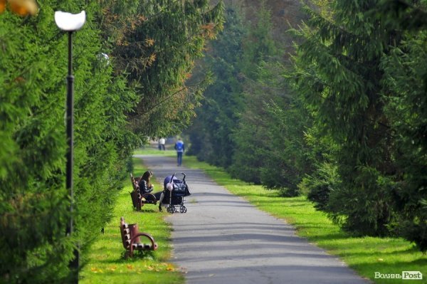 «Бабине літо» і «бебі-бум» Луцьку. ФОТО