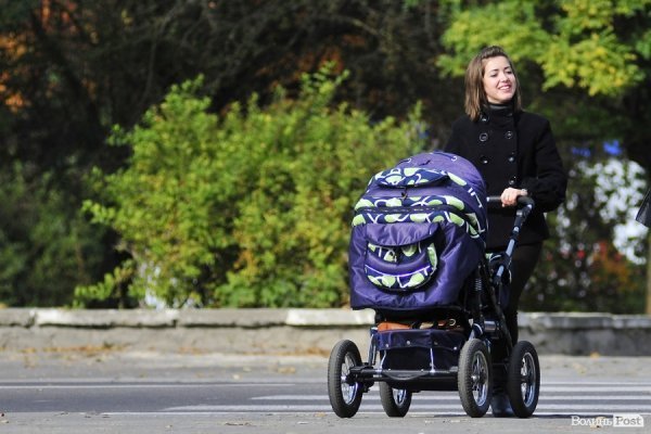 «Бабине літо» і «бебі-бум» Луцьку. ФОТО