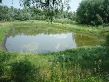 На Волині підприємець самовільно викопав ставок на земельній ділянці сина