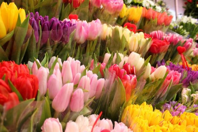 Де у Луцьку недорого купити квіти до свята. АДРЕСИ. ФОТО