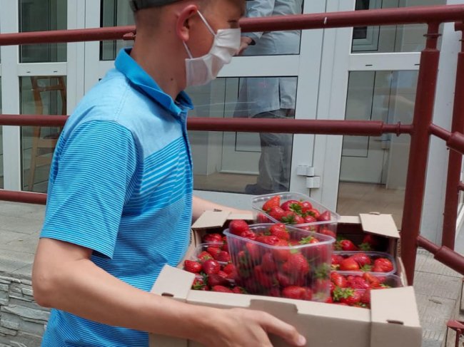 У День медика підприємець пригостив полуницею працівників інфекційної лікарні Луцька