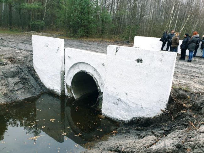 Дослідили одну з причин обміління Світязю 