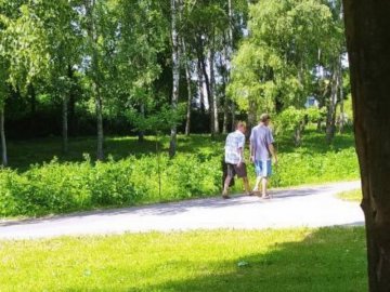 У Володимирі двоє молодиків вкрали з парку тую. ФОТО