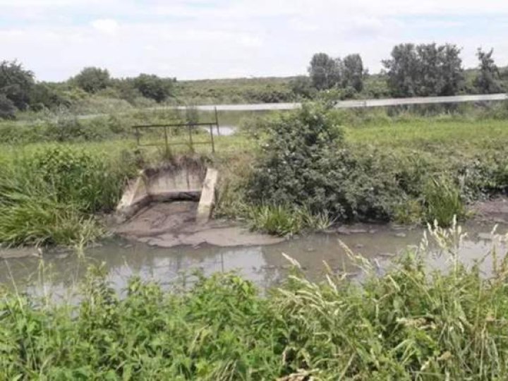 Посадовець «Луцькводоканалу» уник покарання за потруєну на 8 млн грн рибу