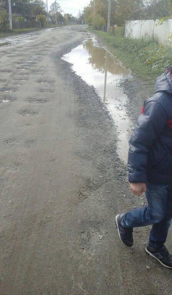 Три кілометри бездоріжжям: на Волині діти йдуть на навчання по багнюці. ФОТО