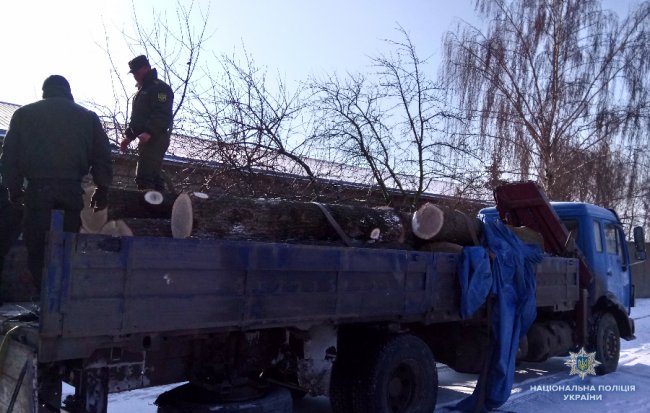 Волинянин віз вантажівку деревини з фальшивими документами. ФОТО