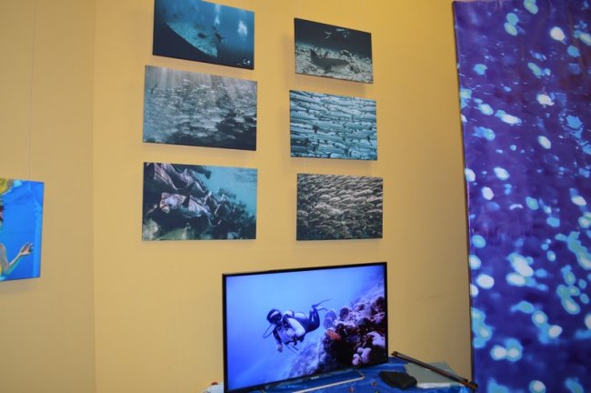 У місті на Волині – виставка неймовірних підводних фото