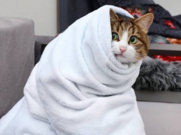 Синоптики: арктичний антициклон несе на Волинь нічний мороз