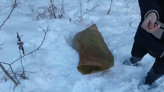 На Волині браконьєр жорстоко вбив козеня козулі