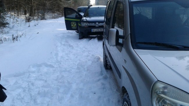 На Волині браконьєр жорстоко вбив козеня козулі