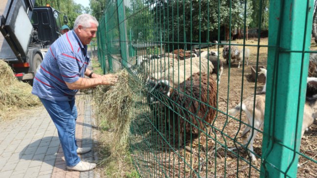 Підгайцівська громада подарувала Луцькому зоопарку сіно